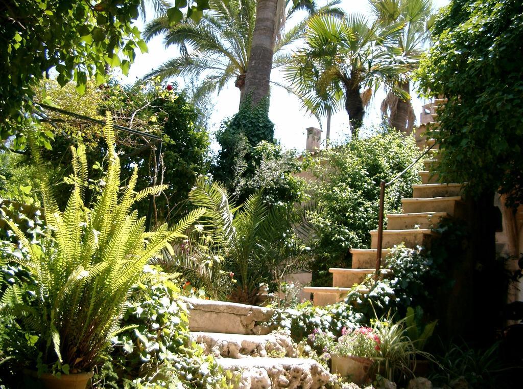 Finca Raims Algaida  Exterior photo