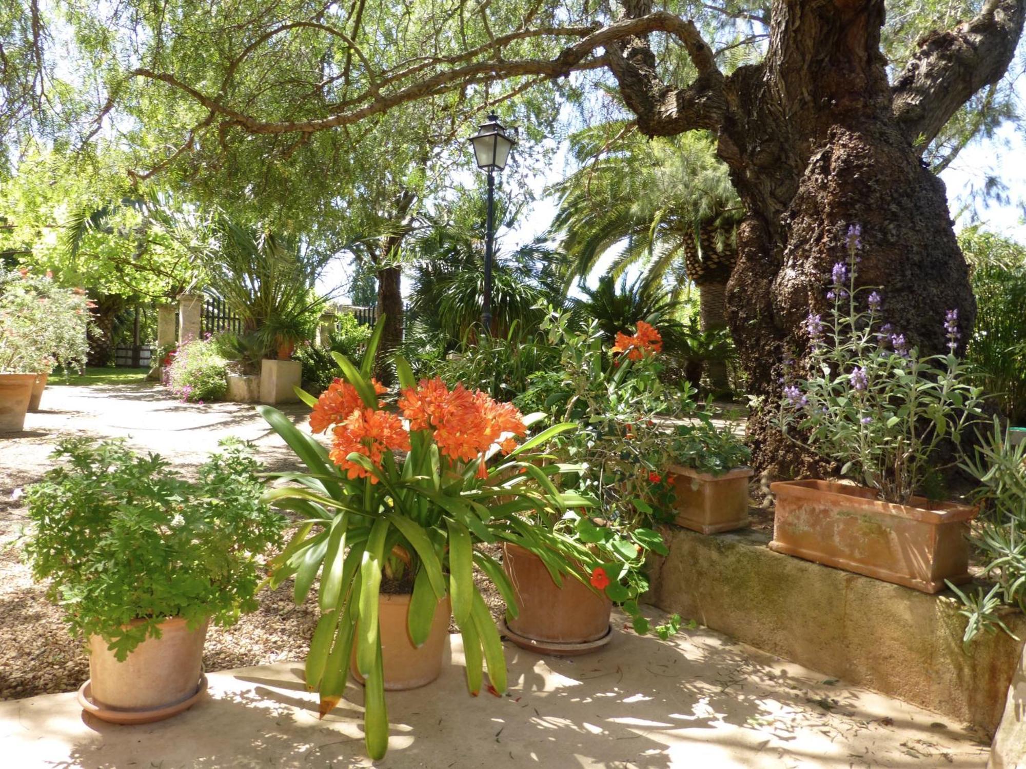 Finca Raims Algaida  Exterior photo